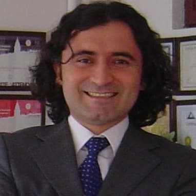 Prof. Dr. Saffet Örs