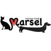 Vet. Cahit Gürsel Bellek Profil Fotoğrafı