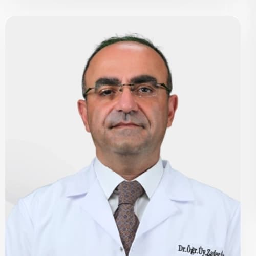 Dr. Öğr. Üyesi Zafer Önen