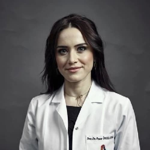 Doç. Dr. Pınar İncel Uysal Profil Fotoğrafı