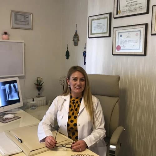 Prof. Dr. Alev Gürgün