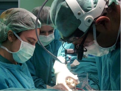 Prof. Dr. Nevzat Erdil Profil Fotoğrafı