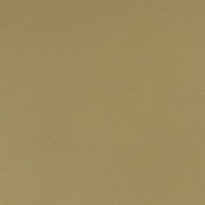 Op. Dr. Olcay Yıldırım