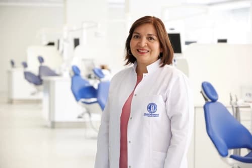 Prof. Dr. Işın ULUKAPI Profil Fotoğrafı
