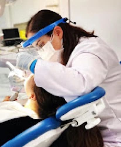 Dt. Şebnem Koçan Profil Fotoğrafı