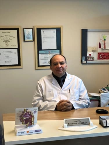 Prof. Dr. Fevzi Sefa Dereköy Profil Fotoğrafı