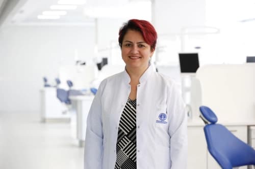Prof. Dr. Arzu ARI DEMİRKAYA Profil Fotoğrafı