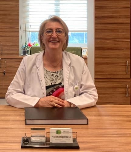 Prof. Dr. Özlem Baysal Profil Fotoğrafı