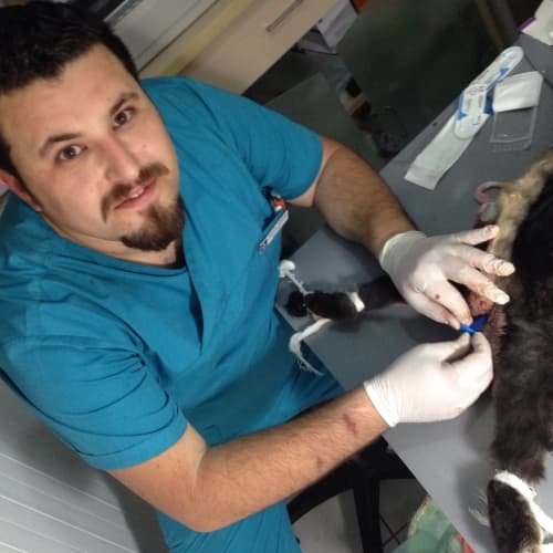 Dr. Abdullah Taşkıran Profil Fotoğrafı