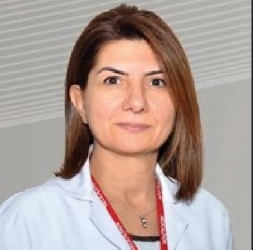 Prof. Dr. Sevil Işık Profil Fotoğrafı