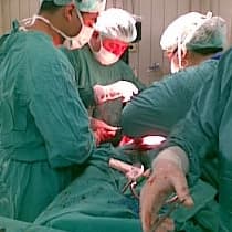 Prof. Dr. Kadir Güzin Profil Fotoğrafı