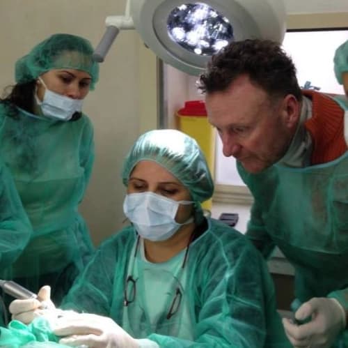 Dr. Dt. Saniye Özen Haykırı