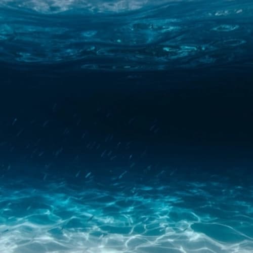 Uzm. Psk. Dan. Didem Ertaş