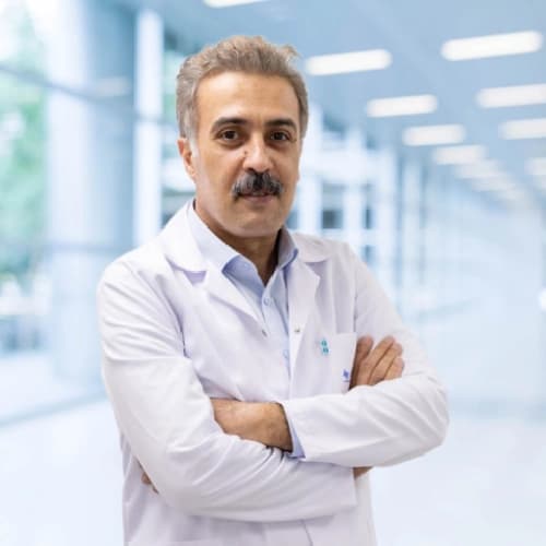 Prof. Dr. Mehmet Ali Erdoğan Profil Fotoğrafı