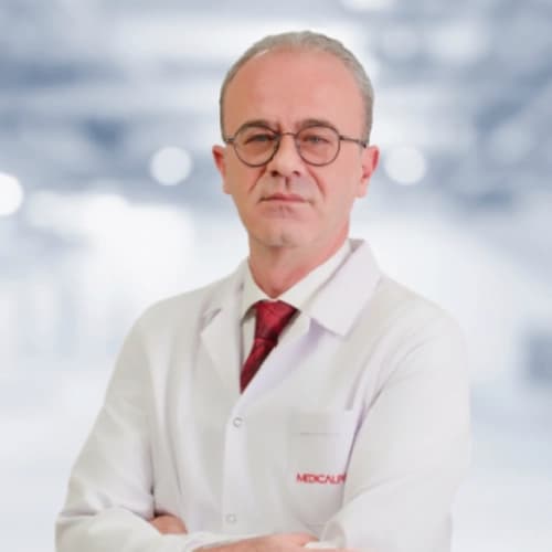 Prof. Dr. Mehmet Mutlu Meydanlı Profil Fotoğrafı