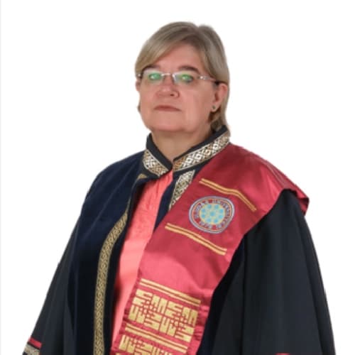 Prof. Dr. N.Sümeyye Güllülü Profil Fotoğrafı