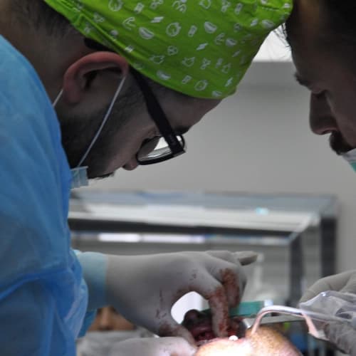 Dt. Ali Büber Profil Fotoğrafı