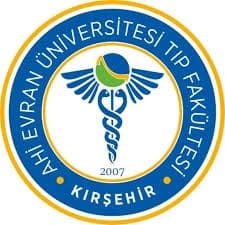 Dr. Öğr. Üyesi Barış Çıplak