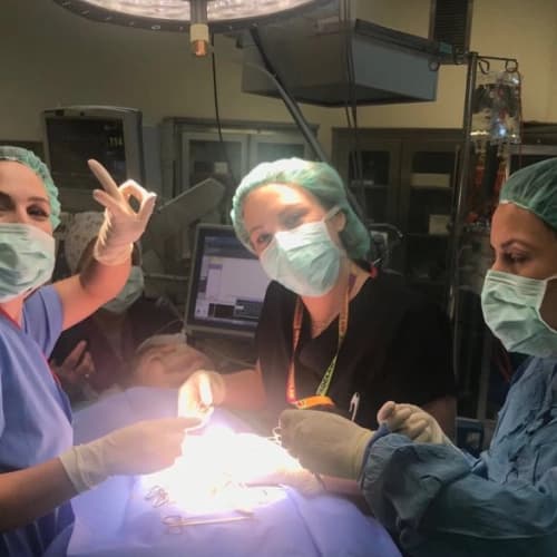 Op. Dr. Nil Yaşam Şahin Profil Fotoğrafı