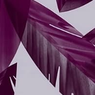 Fzt. Emel Atılmış