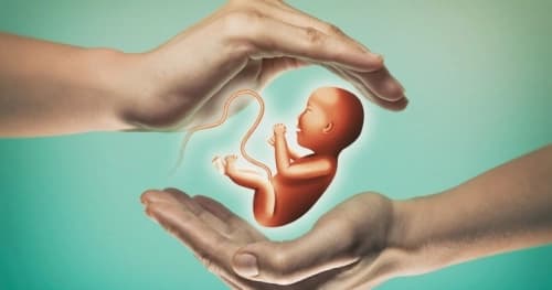 Op. Dr. Elçin Şener Profil Fotoğrafı