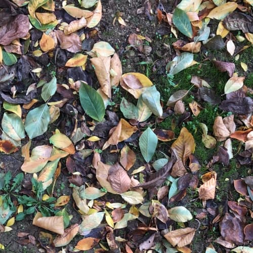 Dyt. Nuray Aytan Akca Profil Fotoğrafı