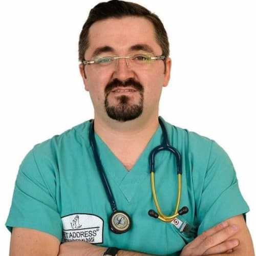 Veteriner Hekim Ali Ergül Profil Fotoğrafı