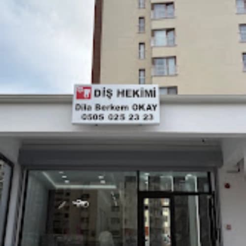 Dt. Dila Berkem Okay