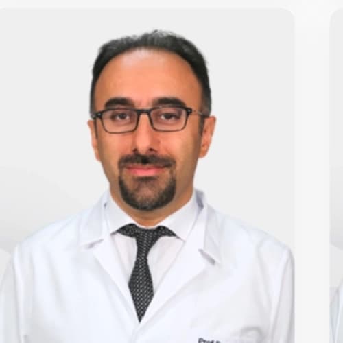 Prof. Dr. Erdal İn