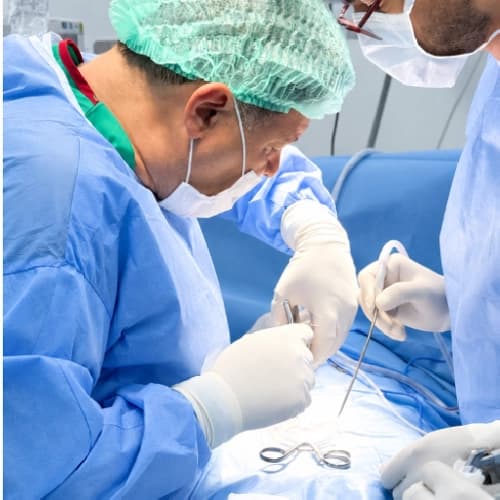 Prof. Dr. Özgür İsmailoğlu Profil Fotoğrafı