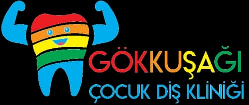 Dr. Öğr. Üyesi Seyit Ahmet Öztürk