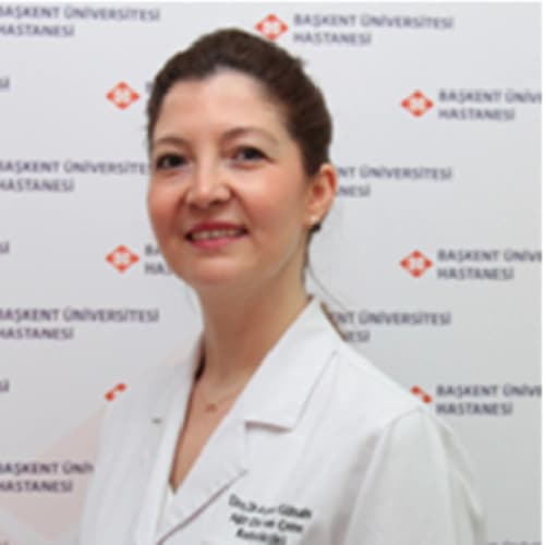 Prof. Dr. Ayşe Gülşahı