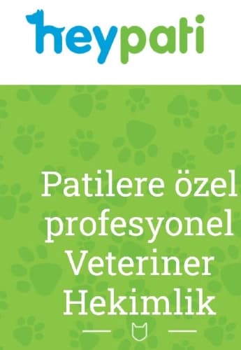 Vet. Ömer Faruk Yalçın Profil Fotoğrafı