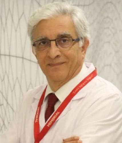 Prof. Dr. Ali Anarat