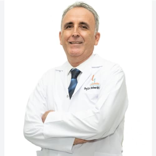 Prof. Dr. Mehmet Bulut