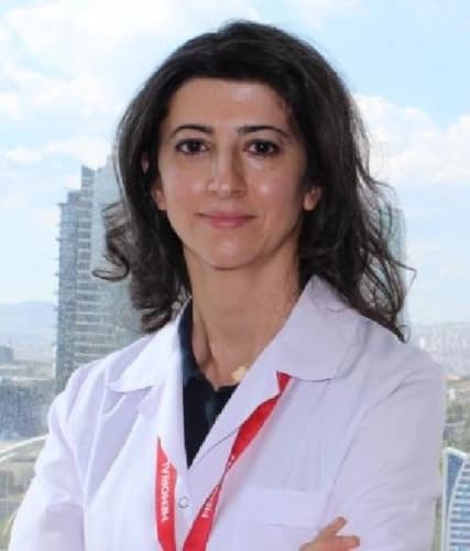 Prof. Dr. Ebru Akgül Ercan Profil Fotoğrafı