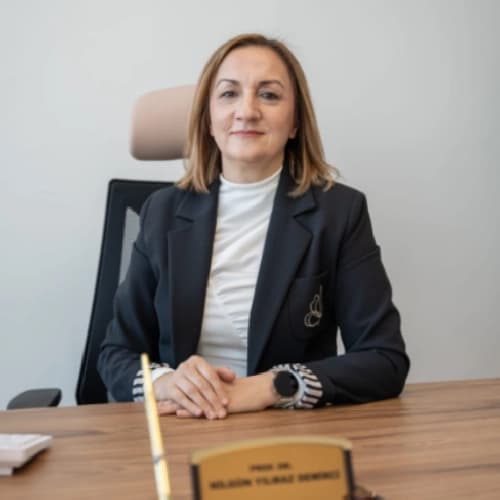 Prof. Dr. Nilgün Yılmaz Demirci Profil Fotoğrafı