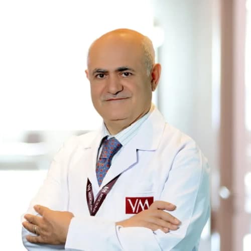 Prof. Dr. Davut Albayrak