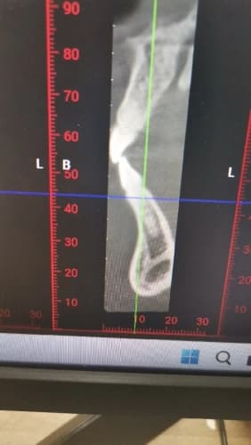 Dr. Öğr. Üyesi Katibe Tuğçe Temur