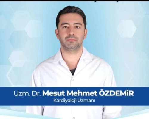 Uzm. Dr. Mesut Mehmet Özdemir Profil Fotoğrafı