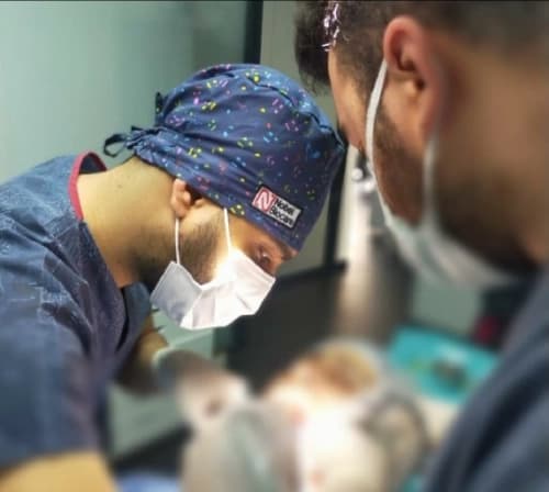 Dt. Onur Portakalkökü