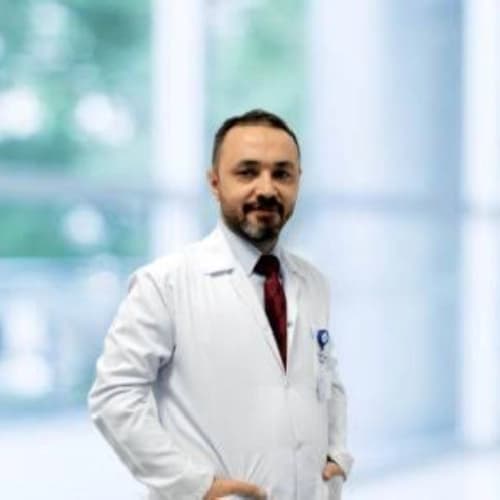 Prof. Dr. İsmail Nalbant Profil Fotoğrafı