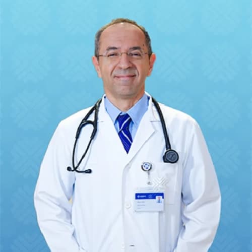 Prof. Dr. Mesut Şeker