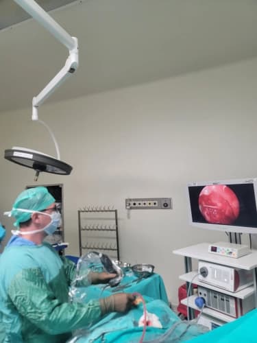 Op. Dr. Merdin Ahmedov