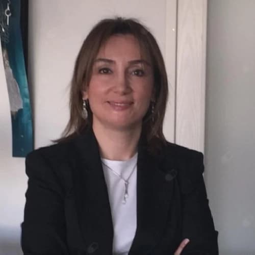 Dr. Prof.Dr.Berfu Demir