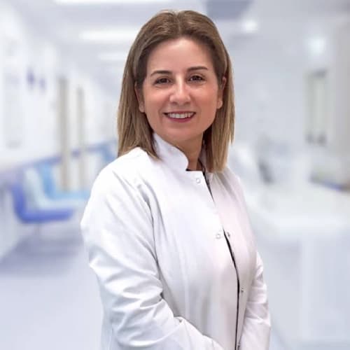 Dr. Öğr. Üyesi Meral Uluköylü Mengüç