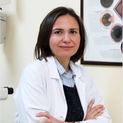 Prof. Dr. Sirel Güngör Gür