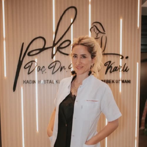 Prof. Dr. Pervin Karlı Profil Fotoğrafı