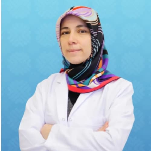 Dr. Öğr. Üyesi Zeynep Eğri Kansu Profil Fotoğrafı