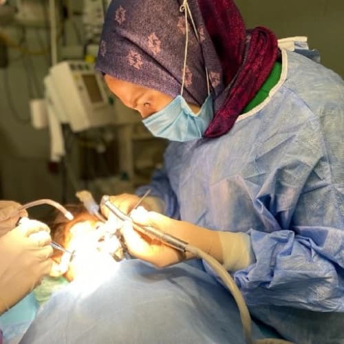 Dt. Ceren Gül Özkul Profil Fotoğrafı